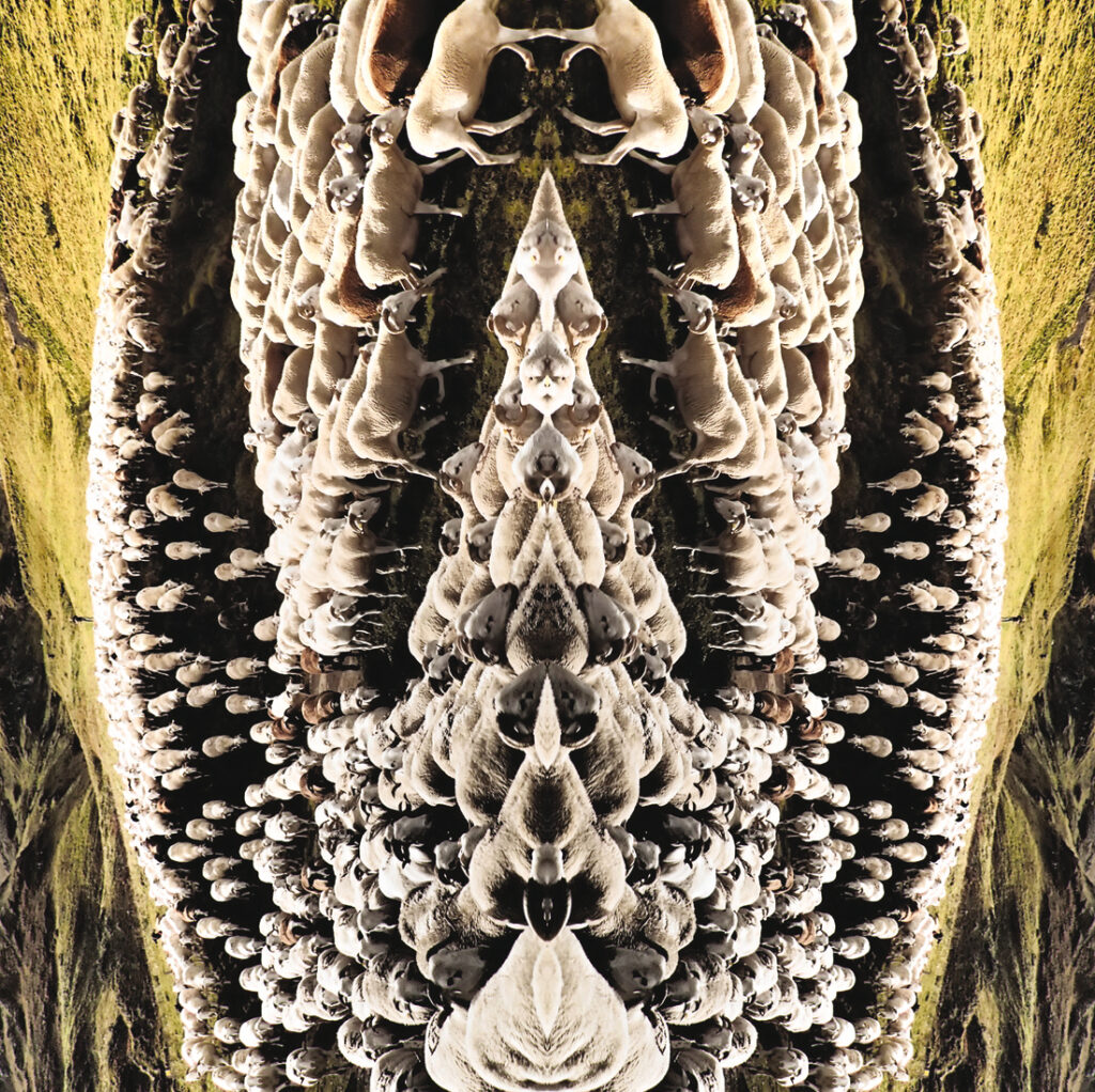 Œuvre de la page dédiée à Bruno Wagner du site du festival Artistes à Suivre