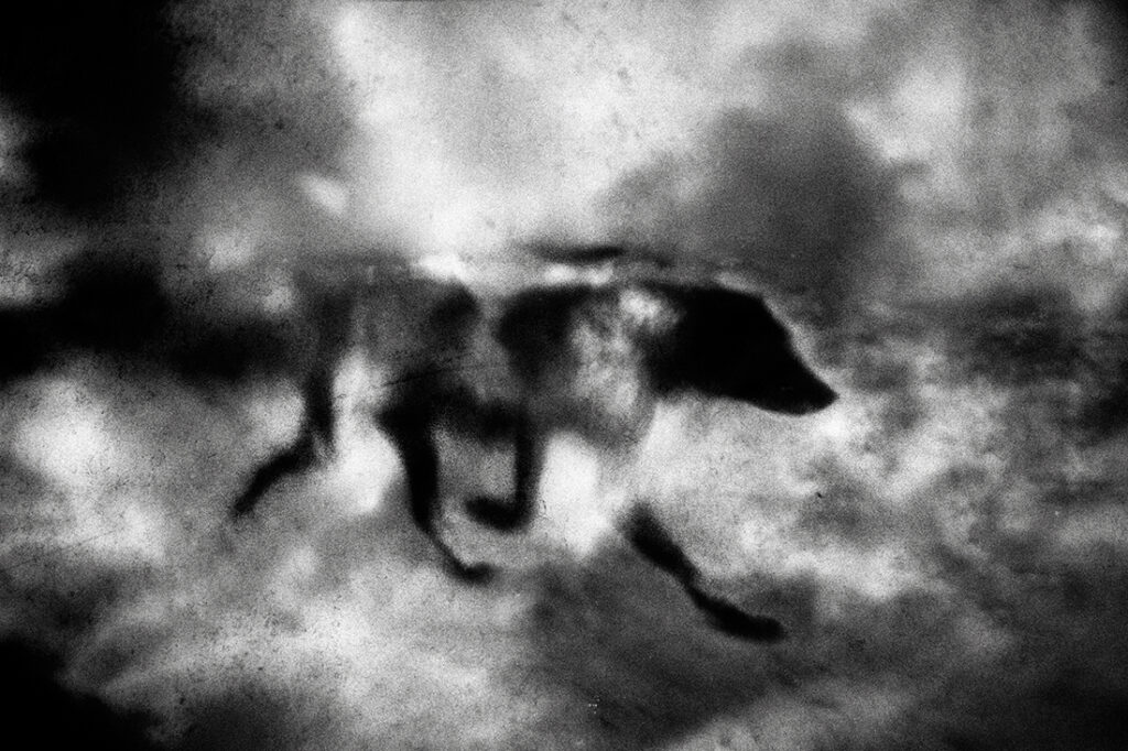 Œuvre de la page dédiée à David Siodos du site du festival Artistes à Suivre