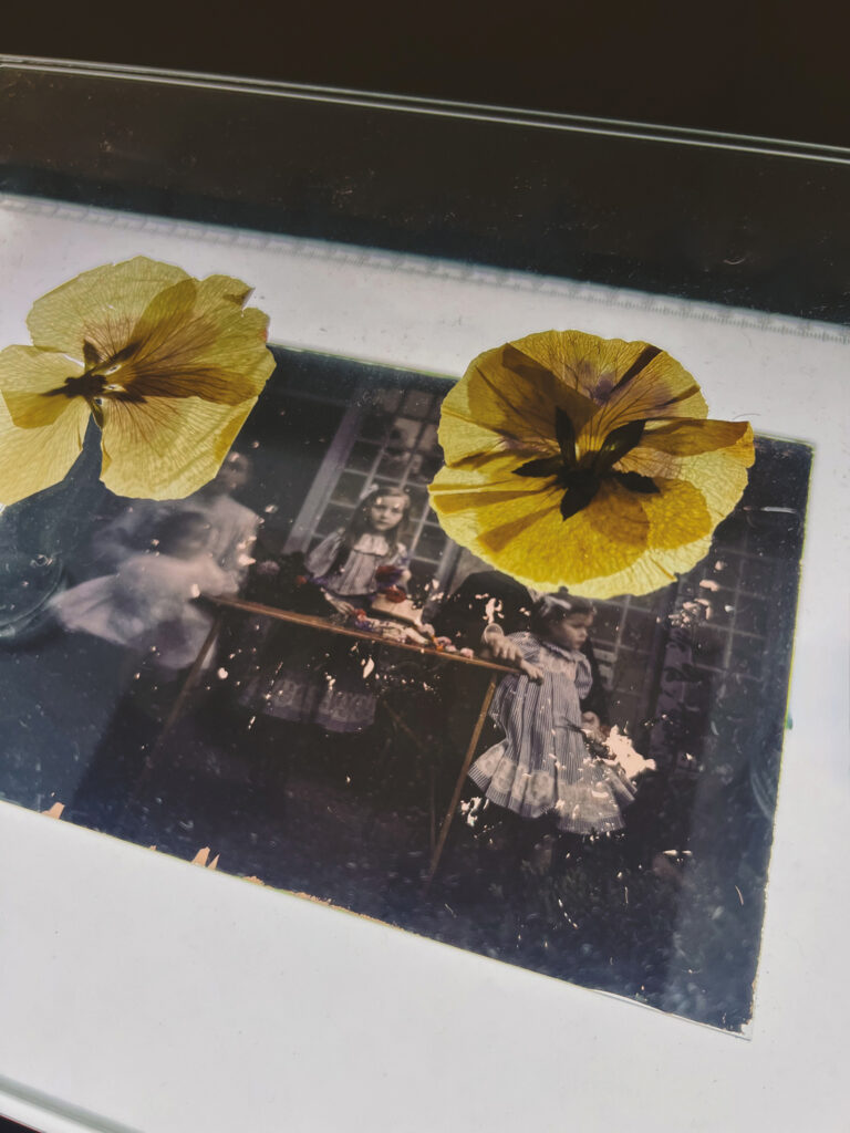 Œuvre de la page dédiée à Diabolo Menthe du site du festival Artistes à Suivre