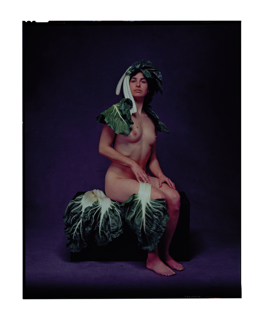 Œuvre de la page dédiée à Joël Bardeau du site du festival Artistes à Suivre