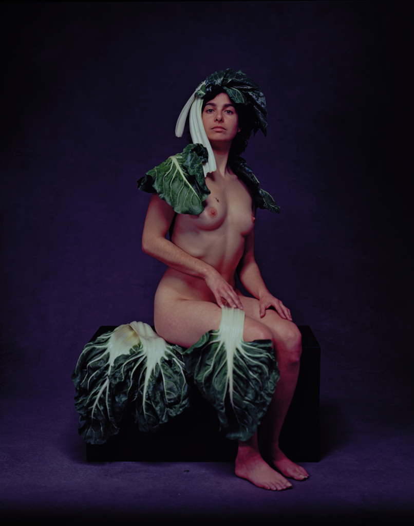 Œuvre de la page dédiée à Joël Bardeau du site du festival Artistes à Suivre